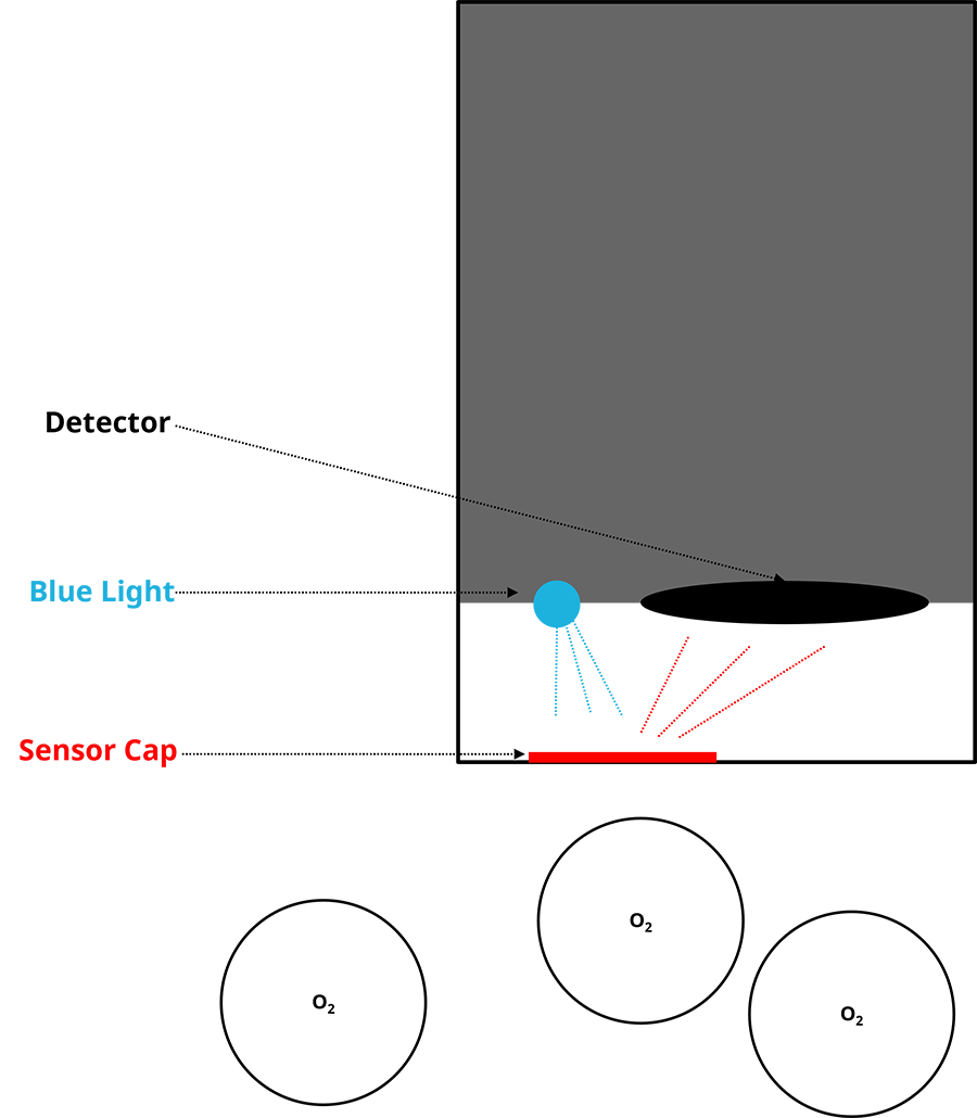 Optical DO Sensor Principle